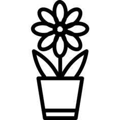 植物