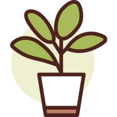 植物