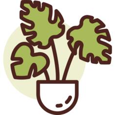 植物