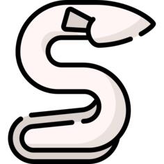 鱼