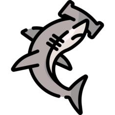 Hammerhead fish