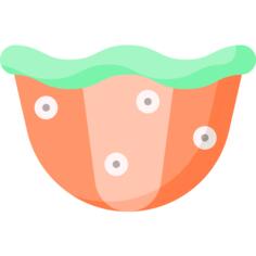 Clam