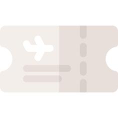 Plane ticket
