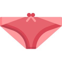 衩