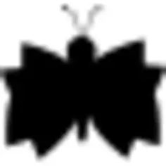 Butterfly black top view silhouette