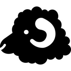 Ram