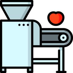 Processor