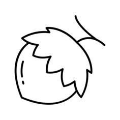 Nut