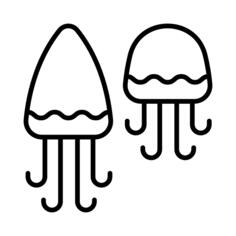 Jellyfish