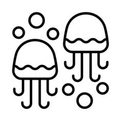 Jellyfish
