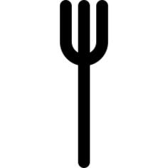 Fork