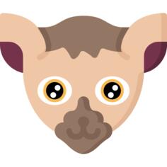 狐猴