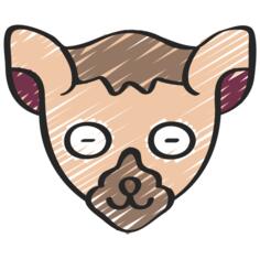 狐猴