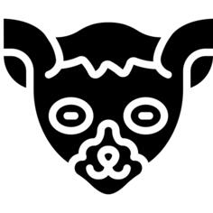 狐猴