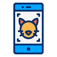 猫图片