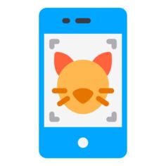 猫图片