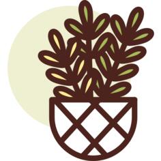 Basil