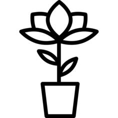 植物