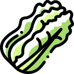 Cabbage