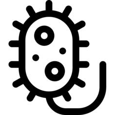 菌