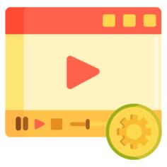 Video options