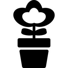 Flower In a Pot