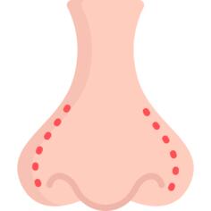 Nose