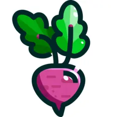 Radish