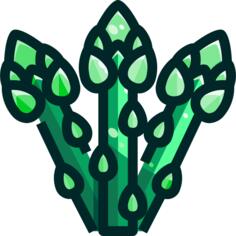 Asparagus