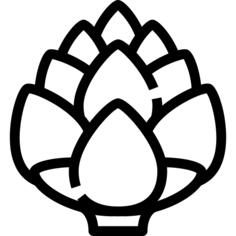 Artichoke
