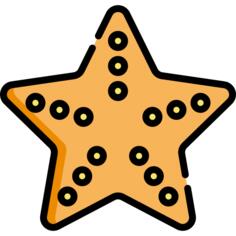海星