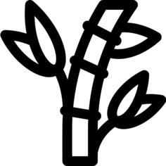 Bamboo