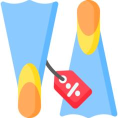 Flippers