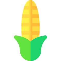 Corn
