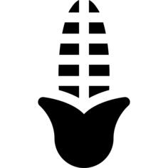 Corn