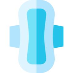 Sanitary napkin