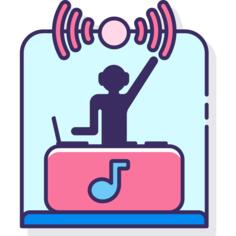 Disc jockey