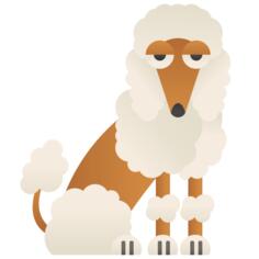 Poodle