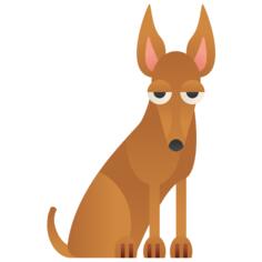 Pharaoh hound