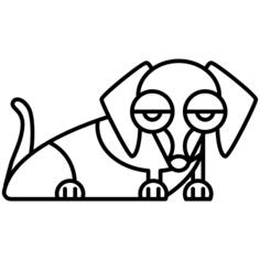 Dachshund