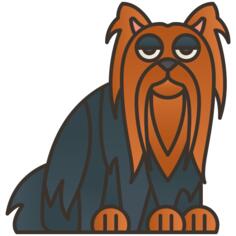 Yorkshire terrier