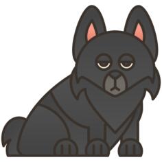 舒柏奇