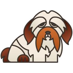 Havanese bichon