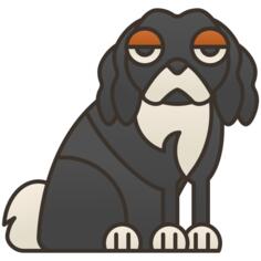 骑士国王查尔斯猎犬