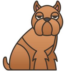 Brussels griffon