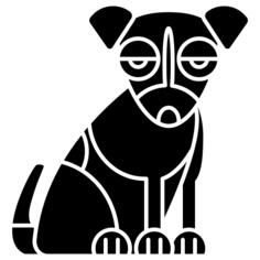 Jack russell terrier
