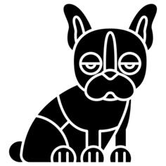 波士顿梗犬