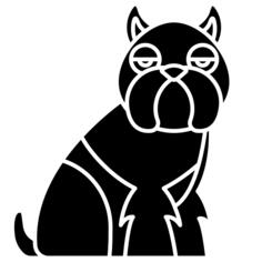Brussels griffon
