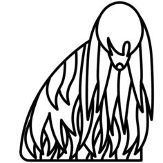 匈牙利komondor