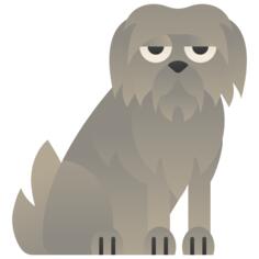 爱尔兰猎狼犬